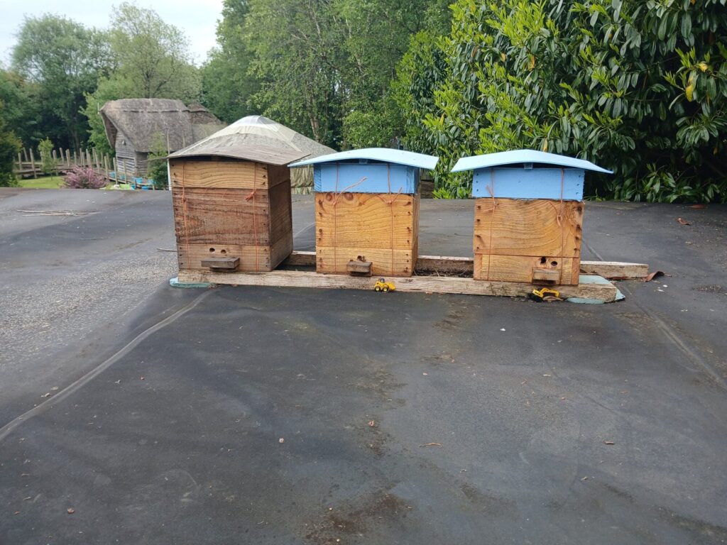 Three Warré hives at Boglands, Boglands Academy beekeeping course