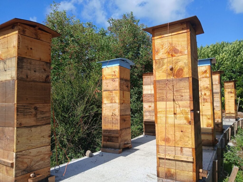 Warré hives at the Boglands apiary near Daingean