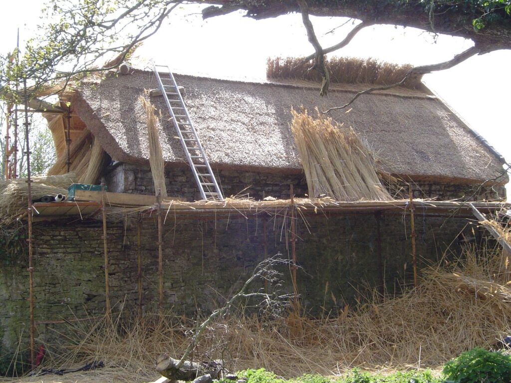 Water reed roof in progress, Boglands Academy thatching course
